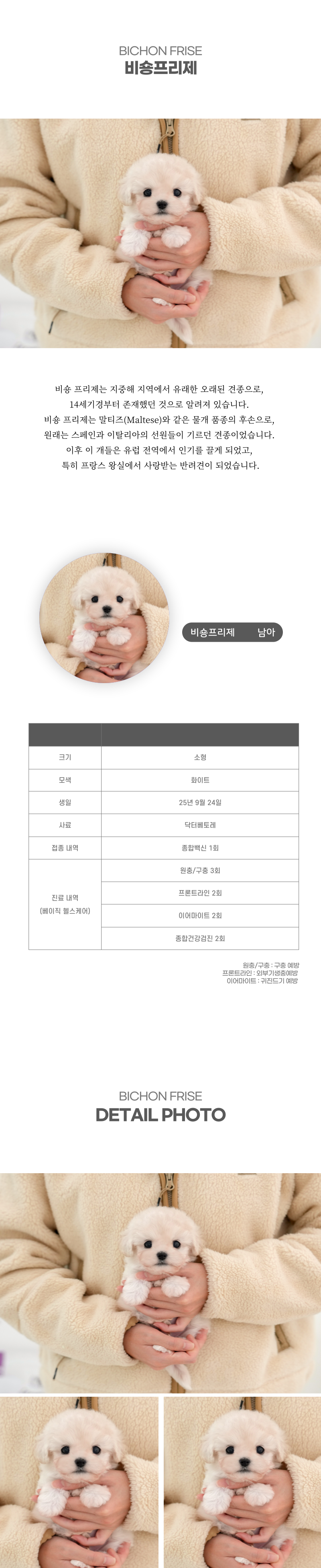 미니비숑_상세이미지_2